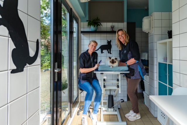 TomPoes kattentrimsalon binnenkant